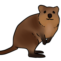 Thumbnail for ANI-3115: Quokka (F)