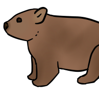 Thumbnail for ANI-3116: Common Wombat (M)