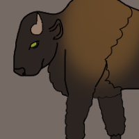 Thumbnail for ANI-3118: American Bison (F)