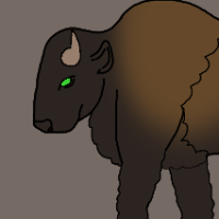 Thumbnail for ANI-3119: American Bison (M)