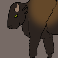 Thumbnail for ANI-3120: American Bison (F)