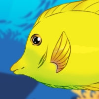 Thumbnail for ANI-3122: Yellow Tang (F)