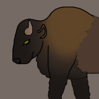 Thumbnail for ANI-3126: American Bison (F)