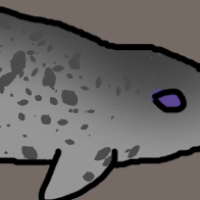 Thumbnail for ANI-3137: Narwhal (M)
