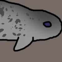 Thumbnail for ANI-3138: Narwhal (F)
