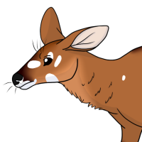Thumbnail for ANI-3150: Kagiso
