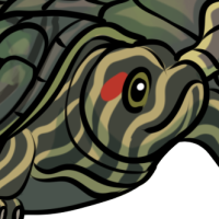 Thumbnail for ANI-3158: fats