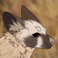 Thumbnail for ANI-3161: Bat-Eared Fox (M)