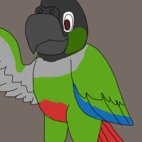 Thumbnail for ANI-3185: Conure (F)