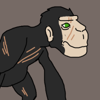 Thumbnail for ANI-3186: Common Chimpanzee (F)
