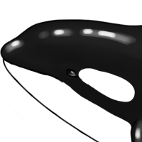 Thumbnail for ANI-3190: Ansel