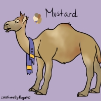 Thumbnail for ANI-3193: Dromedary Camel (F)
