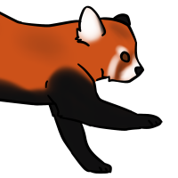 Thumbnail for ANI-3195: Red Panda (F)