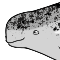 Thumbnail for ANI-3197: Fae