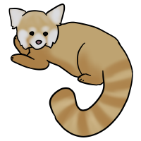 Thumbnail for ANI-3207: Leucistic Red Panda (F)