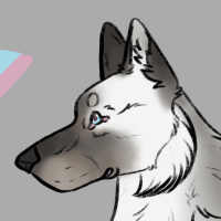 Thumbnail for ANI-3216: Satin