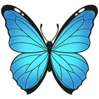 Thumbnail for ANI-3223: Menelaus Blue Morpho (M)