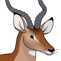 Thumbnail for ANI-3225: Reed
