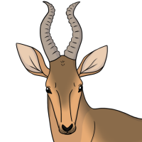 Thumbnail for ANI-3227: George
