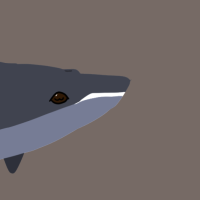Thumbnail for ANI-3233: Blue Whale (M)