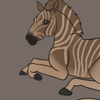 Thumbnail of ANI-3251: Quagga (M)