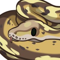 Thumbnail for ANI-3267: moldy bread