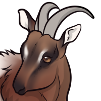 Thumbnail for ANI-3268: noor