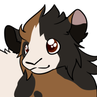 Thumbnail for ANI-3305: Domestic Cavy (M)