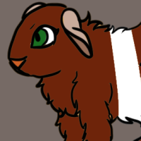 Thumbnail for ANI-3320: Domestic Cavy (F)