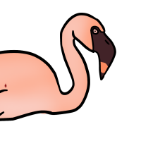 Thumbnail for ANI-3330: Lesser Flamingo (F)