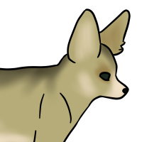 Thumbnail for ANI-3369: Spinster (M)