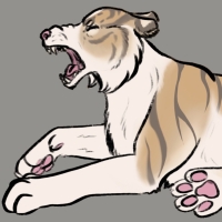 Thumbnail for ANI-3373: Blue &amp; Chocolate &amp; Piebald Siberian Tiger (M)