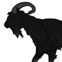 Thumbnail for ANI-3379: Domestic Goat Mixed Breed  (M)