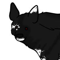 Thumbnail for ANI-3381: Vitiligo Striped Hyena (F)