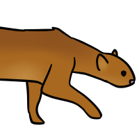 Thumbnail for ANI-3382: Jaguarundi (F)