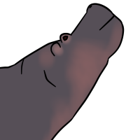 Thumbnail for ANI-3395: Hippopotamus (M)