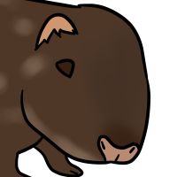 Thumbnail for ANI-3396: Mountain Paca (M)