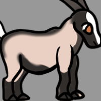 Thumbnail for ANI-3403: Domestic Goat Fainting  (F)