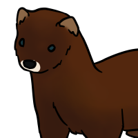 Thumbnail for ANI-3443: European Mink (M)