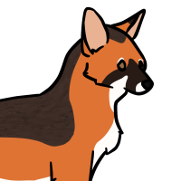 Thumbnail for ANI-3480: Island Fox/Red Fox (F)