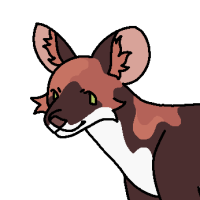 Thumbnail for ANI-3481: African Wild Dog x Dhole (F)