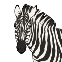 Thumbnail for ANI-3517: Burchell's Zebra (F)