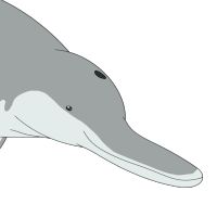 Thumbnail for ANI-3567: Illusion