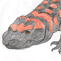Thumbnail of ANI-3587: Gila Monster (M)