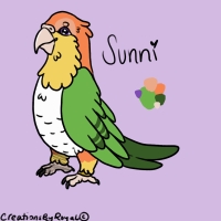 Thumbnail for ANI-3601: Sunni •ﻌ•