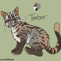 Thumbnail for ANI-3608: Timber •ﻌ•