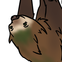 Thumbnail image for ANI-3610: Hoffmann's two-toed sloth (M)