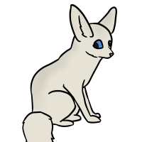 Thumbnail image for ANI-3611: Fennec Fox (F)