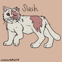 Thumbnail for ANI-3641: Slash •ﻌ•