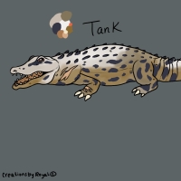 Thumbnail of ANI-3646: Tank •ﻌ•